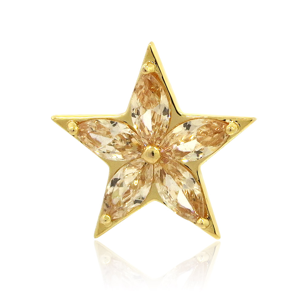 Champ Star Pin